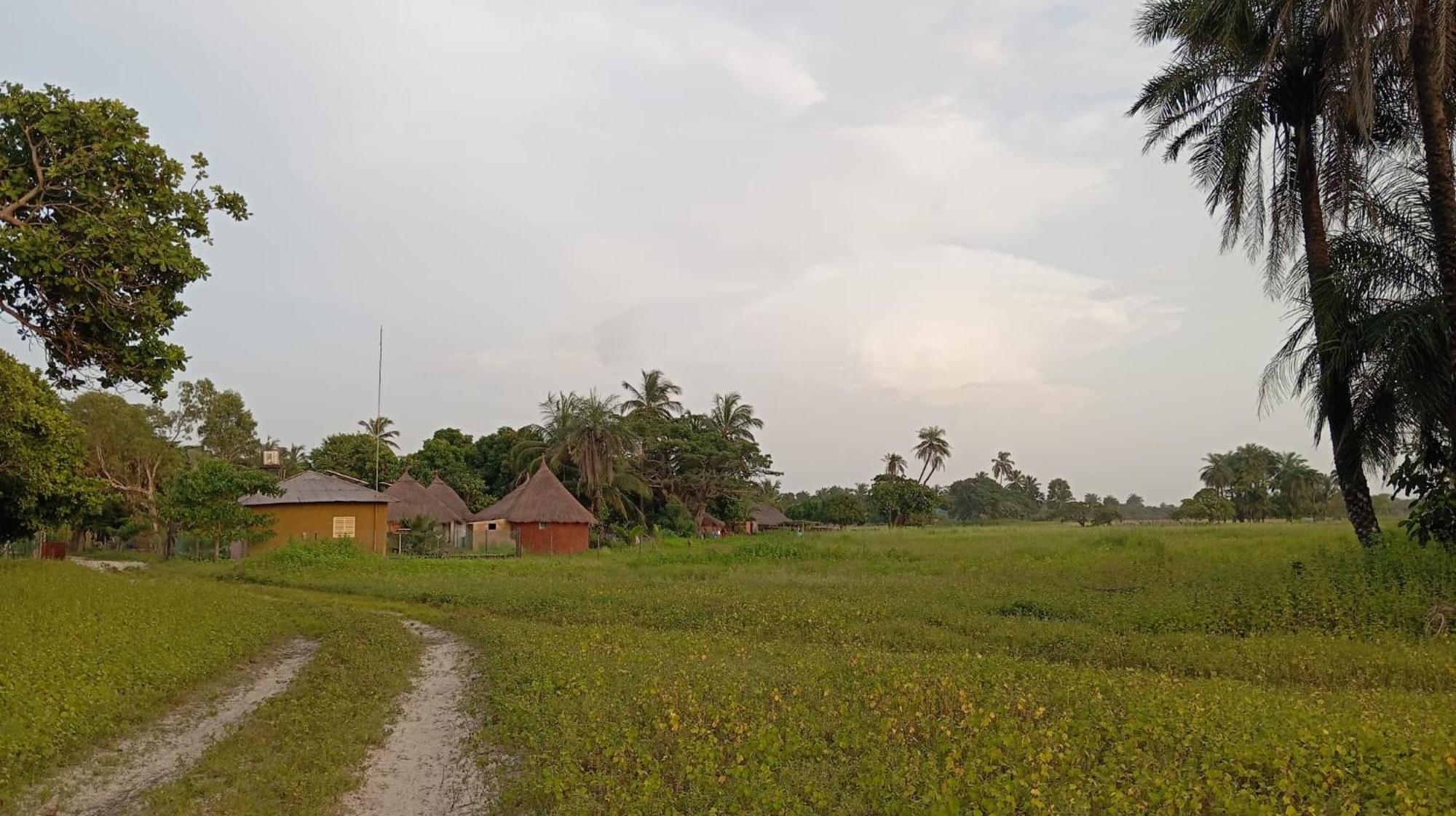 Campement Graine De Paradis Kachiouane Exterior photo